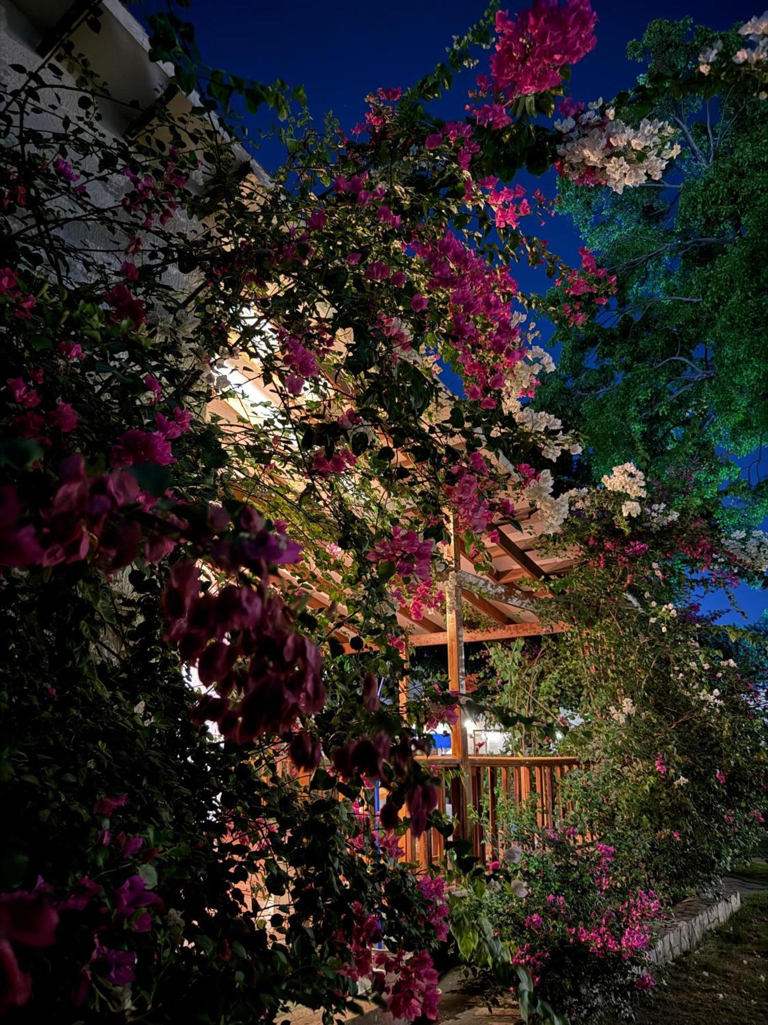 Hotel Jardin Boutique Rodadero Santa Marta  Eksteriør bilde