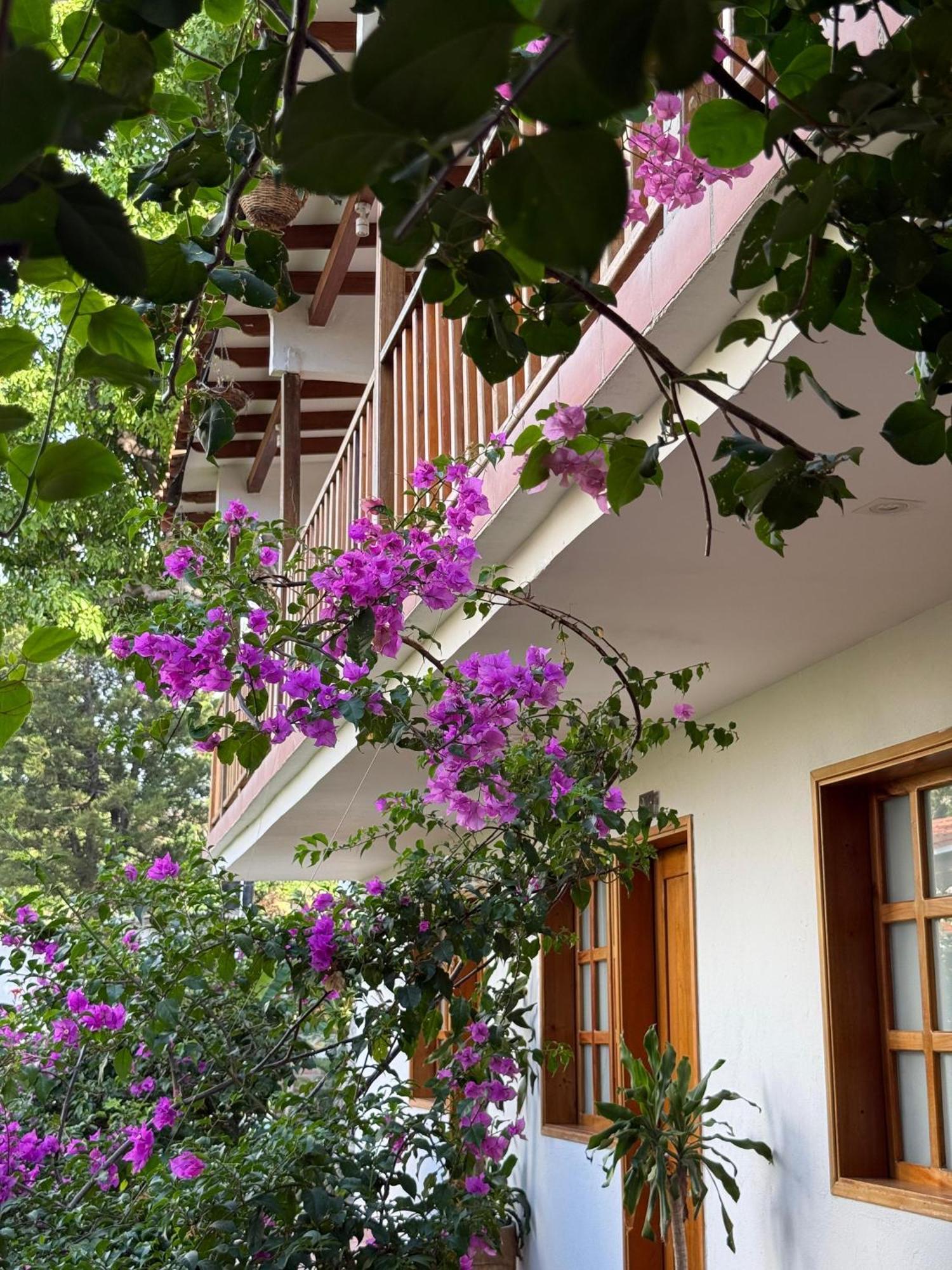 Hotel Jardin Boutique Rodadero Santa Marta  Eksteriør bilde